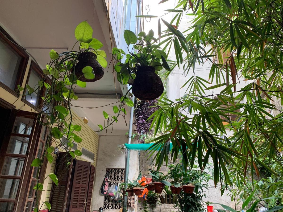 Halo Bay Homestay Ha Long Exterior foto